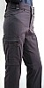 Pantalo multibutxaques 2011.JPG